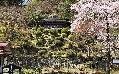 大坂屋別荘 楽山苑