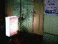 桃色サンゴ