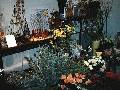 Florista