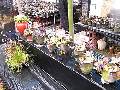 中野山草園(なかのさんそうえん)