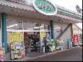 ハロードラッグ 新組店