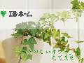 株式会社 IBホーム (アイビーホーム)
