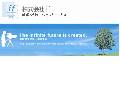 株式会社 if
