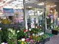 川名花店